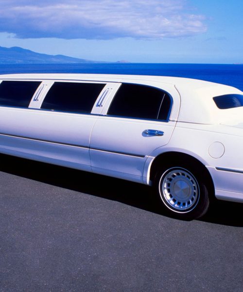 limo (11)